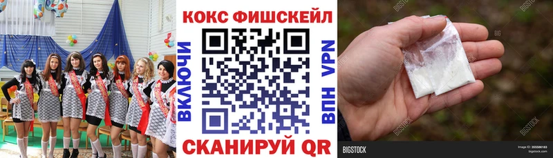 Купить где  Оренбург  COCAIN Fish Scale 