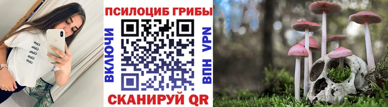 Псилоцибиновые грибы мухоморы  Купить закладки  Оренбург 